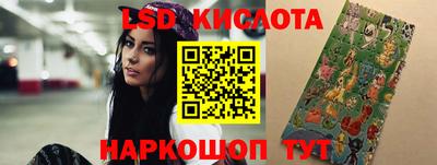 амф Кандалакша