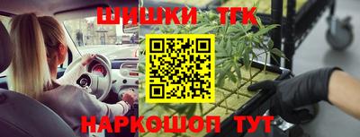 амф Кандалакша