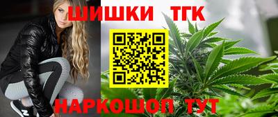 амф Кандалакша